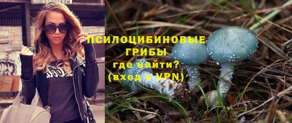 дурь Арсеньев