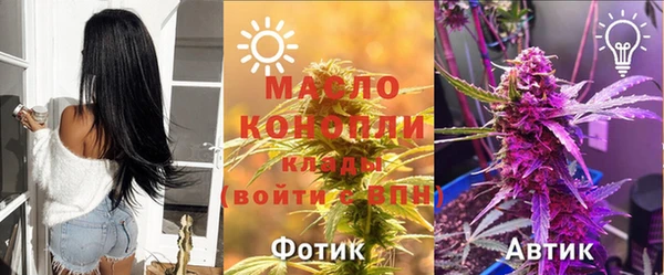 сатива Армянск