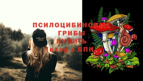 бошки Покачи
