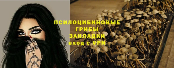 дурь Арсеньев