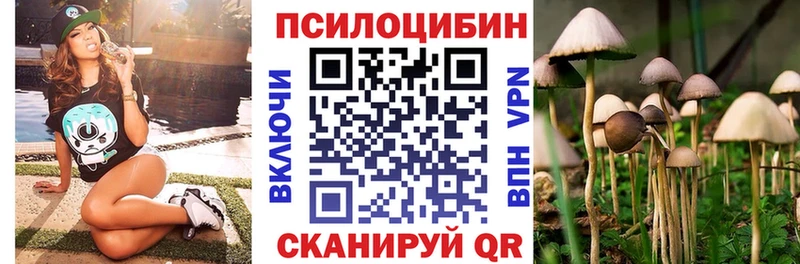 Псилоцибиновые грибы Psilocybine cubensis  даркнет сайт  дарк нет клад  Олёкминск 