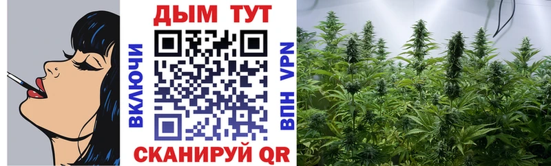 Бошки марихуана конопля Олёкминск